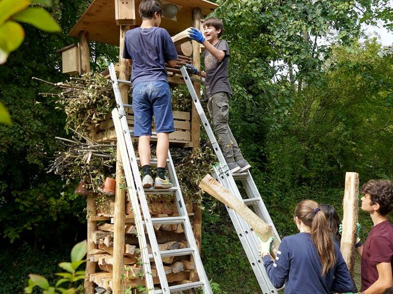 Lebensturm Portfolio 2020